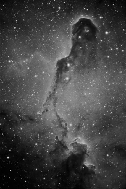 Vdb-142-Ic1396 Ha La trompe.jpg - 640